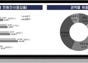 올 상반기 금융권에 대한 금융 소비자 민원 크게 늘어