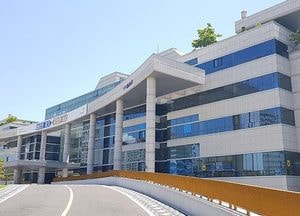 코로나 확진자  반려동물, 道가  퇴원 때까지  돌본다