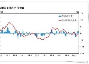 지난달 생산자물가 전월대비 0.5% 올라