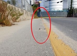 [포토] 육교 위 볼트 돌출 ‘위험천만’···안전봉 설치도 ‘시급’