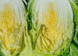 김치 먹기 힘들다... 동네 마트서 배추 한포기 만원
