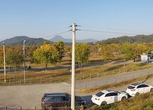 코로나로 지친 시민위해 "금은모래·이포보캠핑장, 재개장"