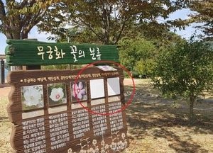 [포토] 양평 남한강변 양강섬에 ‘옥에 티’