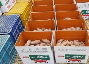 여주 고구마, 안성 배 등 경기도 생산 천연재료 활용 제품개발 기업에 최대 1500만원 지원