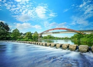 [특집] 천연기념물 수달 서식 생태계 마련된 ‘오산천’