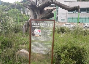 안양시 삼막사까지 원효대사 명언담 보며 힐링하자