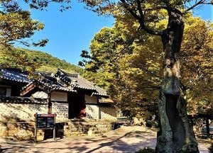 코로나 답답함 떨쳐낼 힐링 도보여행 ‘이천 둘레길’