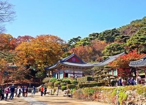 인천 강화 ‘전등사’·‘석모도 칠면초 군락지’ 전국 가을 비대면 관광지 100선 선정