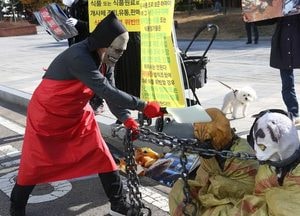 [포토] 불법 개사체 판매 단속 촉구 기자회견