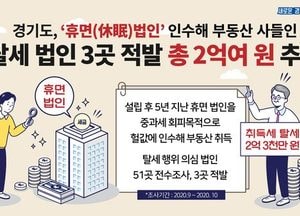 ‘휴면법인’ 인수해 부동산 탈세에 악용, 법인 3곳 적발... 2억 3천만원 추징