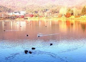 [포토] 이천 설봉호수·설봉산의 마지막 ‘만추’