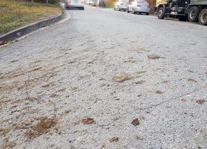 [포토] 도로에 돈분 쏟아져 ‘악취 풀풀’