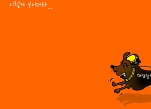 이렇게 보이더라...