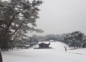 [포토] 첫눈 내린 세종대왕릉