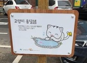 고양시 “내년 여름 시원해진다”... 유휴 용수 활용, 열섬현상 해결