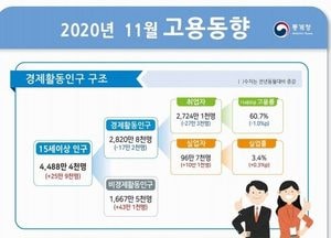코로나가 몰고 온 고용빙하기... 11월 취업자 27만여명 감소
