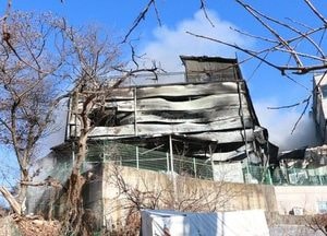 과천, 참기름 제조공장서 불... 1명 경상
