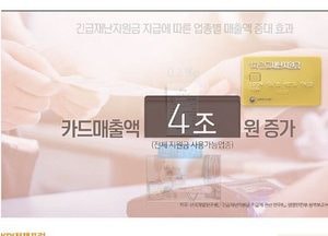 1차 재난지원금 소비효과 4조원으로 투입 예산 30% 수준