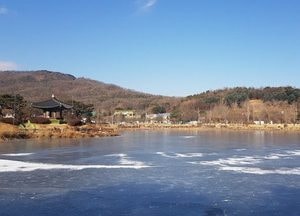 [포토] '맹추위 속' 꽁꽁 얼어 있는, 이천 '설봉호수'