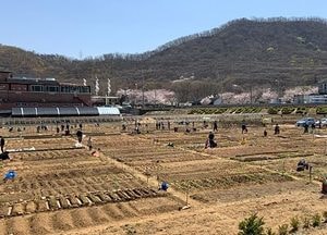 광명시 ‘친환경 시민주말농장’ 참여 가족·단체 16일까지 접수