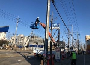 동두천시, 가로수 전정공사 시행