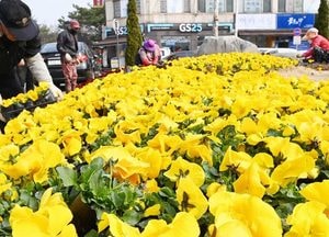 수원시, 안전하고 쾌적한 봄 준비에 돌입