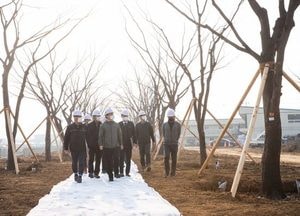 서구, 폐기 위기  가로수, 친환경 숲길로 다시  부활'…이재현 구청장 현장방문