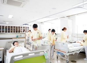 대진대학교 간호학과, 4년 연속 국가고시 100% 합격