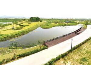 [특집] ‘김포한강야생조류생태공원’ 도심에 맑은 숨 불어넣는다