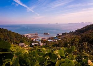 안산시 풍도 지명, ‘단풍나무 풍(楓)’ 정식 제정