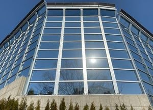 과천시, 야생조류 충돌방지시설 설치