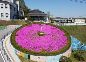 [드론이 본 세상]  ‘맑은 날씨 덕에 더욱 빛나’는 ‘여주 꽃시계’