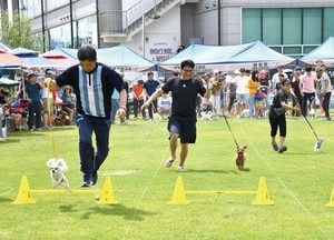 [기획] ‘사람·동물이 함께 행복한 도시’ 시흥 만들어 가요