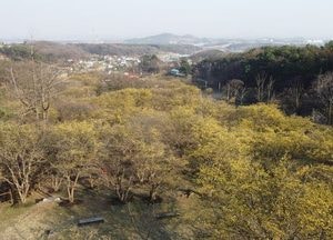 ‘이천 백사면 산수유마을’ 주민 주도형 생태관광지로 조성