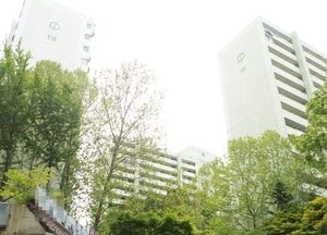 성남, 아파트 단지 내 매설관로로 '주변 우수까지 유입, "범람위험'"...'알고보니 무단 시설물'