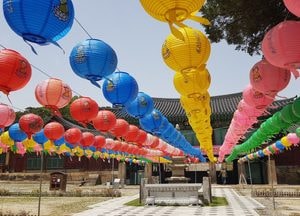 [포토] ‘부처님오신날 앞둔 화성 용주사’ 경내에...‘형형색색 오색연등’