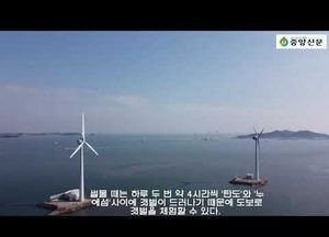 [드론이 본 영상] 대형풍력발전기 장관...안산시 단원구서 네 번째 큰 섬 ‘탄도’