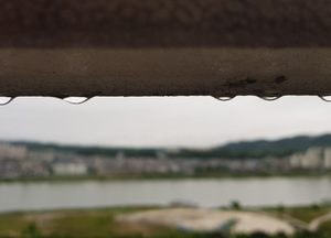 [내일의 날씨] 경기·인천(17일, 월)…새벽부터 오후 사이 '비'