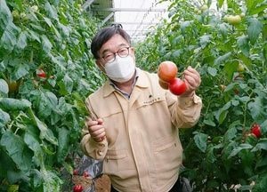 신동헌 SNS에 “퇴촌토마토 축제 취소, 토마토 팔아주기 나서”