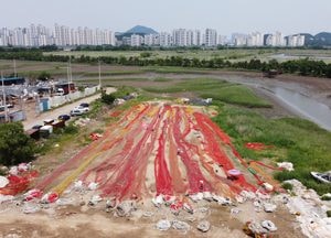 [드론이 본 세상] 비단이야 그물이야...‘보망하는 어부들’