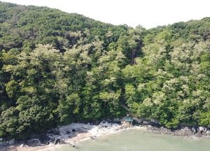 [드론이 본 세상] 해변에 약수터...바닷가에서 만난 ‘천영물 약수터’