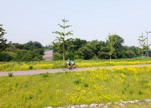 [포토] 32도 더위 속... "금빛 라이딩"