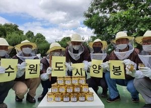 시민농장에서 수확한 먹거리, 수원시 푸드뱅크에 기부