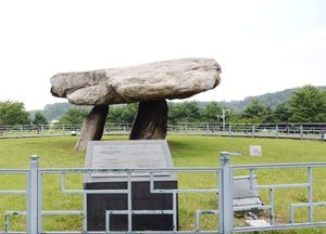 [드론이 본 세상] 3000년의 역사 간직한 '고인돌'