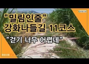 [중앙신문TV] “밀림인 줄”... 강화나들길 11코스 "걷기 너무 어렵네"