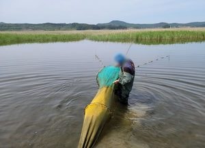 배터리로 ‘쏘가리’ 포획... 불법 어업행위 대거 적발