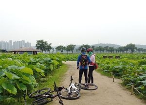 [포토] 연꽃이 어떻게 찍혔길래...