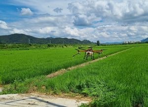 [포토] 벼농사 방제 ‘첨단 드론이 척척’