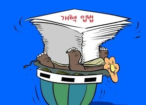개혁 입법