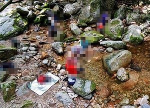 해수욕장은 철저 방역..."계곡은 왜, 단속 사각지대"
